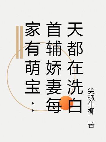 家有小首辅全文阅